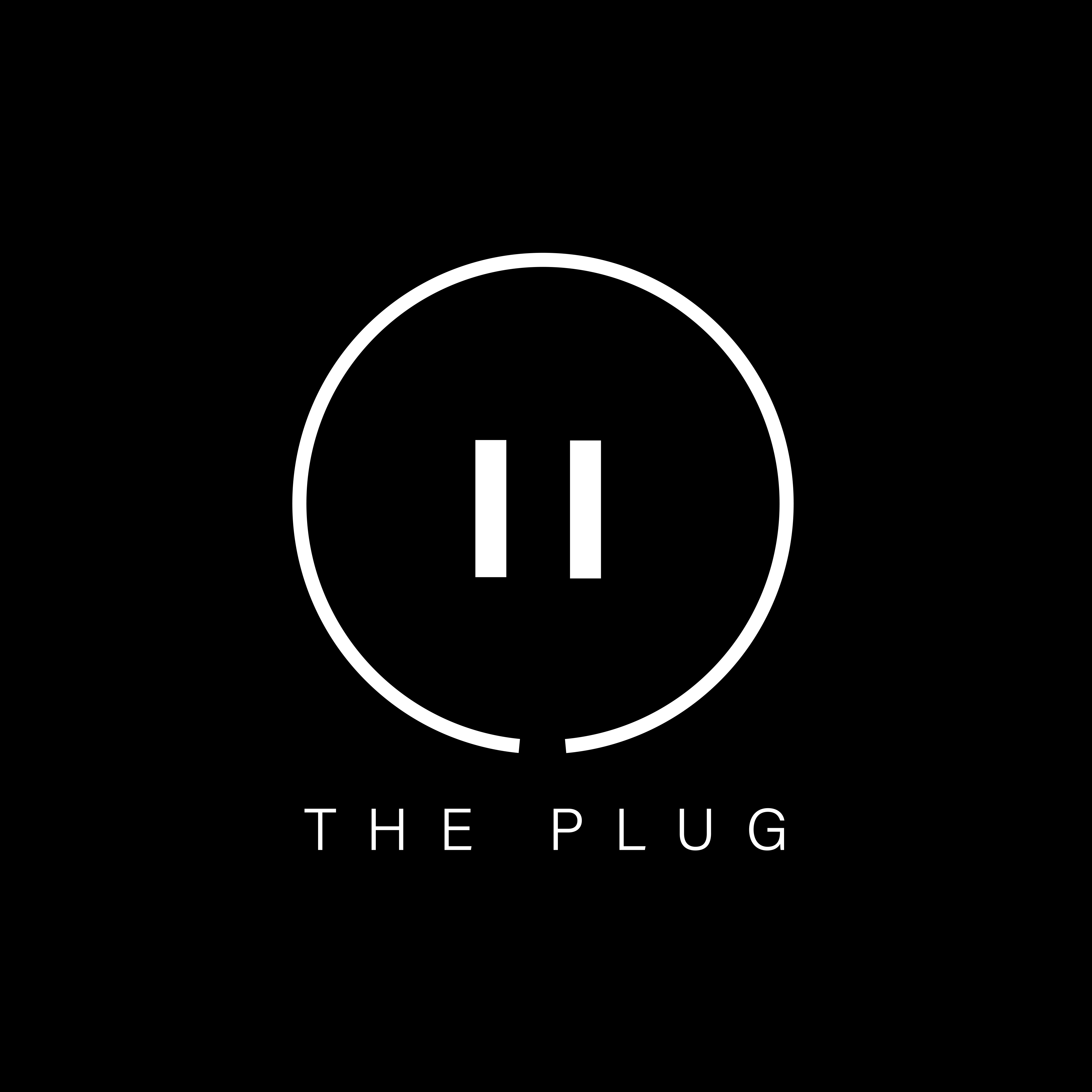 The Plug Music Management